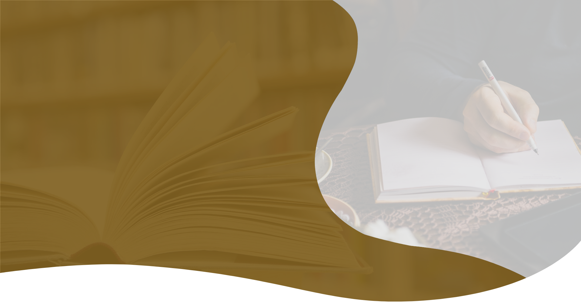 <h2>Empowering Entrepreneurs: Lessons from Will Steinberg’s Journey</h2>